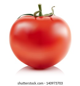 Illustration of red tomatoes isolated on white background. Vector.