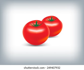 Illustration of red tomatoes isolated. Vector.
