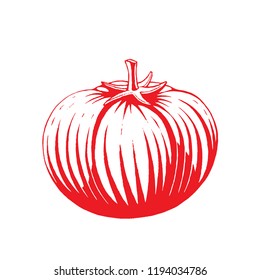 Ilustración de un boceto rojo de tinta vectorizado de tomate aislado en un fondo blanco