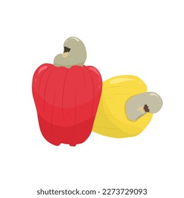 Illustration eines roten und gelben Cashew-Vektors auf weißem Hintergrund 