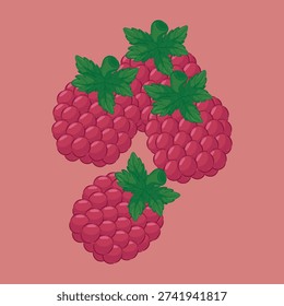illustration of redberry, a fresh fruit used as a topping and eaten raw