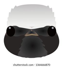 Illustration of the redstart