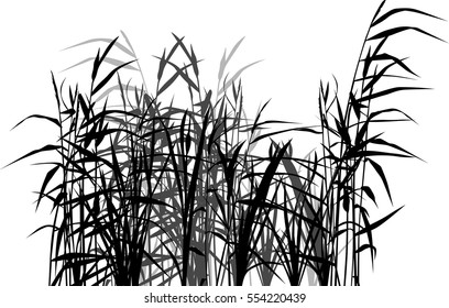 illustration with reed silhouettes isolated on white background