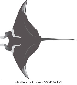 Illustration of the reef manta ray