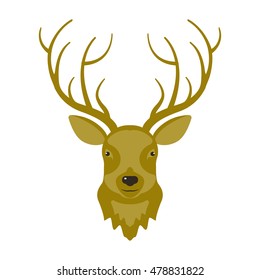 Illustration of reindeer head in modern flat design. Hunter's trophy of Cervine muzzle. Shot down deer. Vector eps10