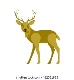 Illustration of reindeer in modern flat design. Isolated on white background. Vector deer eps10