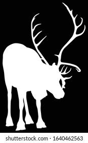 illustration with reindeer silhouette isolated on black background