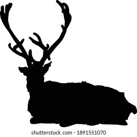 illustration with reindeer silhouette isolated on white background