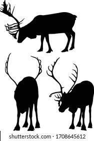 illustration with reindeers silhouettes isolated on white background