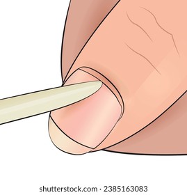 Illustration with removing cuticle using wooden eco. Fingers and nails cuticle