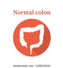 illustration represent the human intestine.
