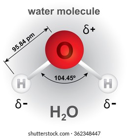 Illustration representing structure and composition of the water molecule chemical. ideal for educational books and institutional material