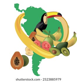 Ilustração representando frutas típicas da América do Sul e um tucano com um mapa da América do Sul ao fundo