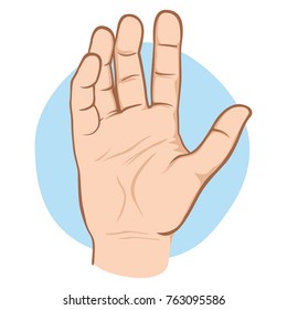 Illustration represents an open human hand with palm for sample, Caucasian. Ideal for catalogs of institutional material