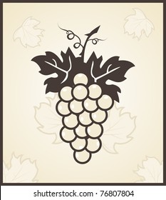 Illustration retro engraving of grapevine - vector