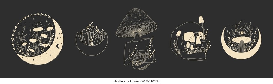 illustration in retro vintage engraving style  human skull   wild forest poisonous mushrooms  ideal for printing clothing fabric