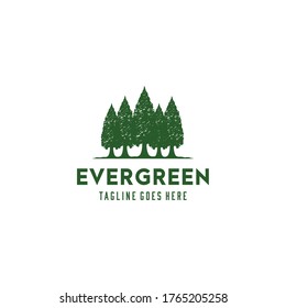 Illustration retro vintage pine tree logo design evergreen,cedar,vector silhouette.