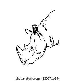 illustration of rhino