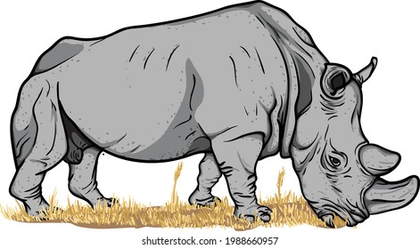 Illustration of rhino on wildlife. rhino eat grass. for t-shirt echo campaign 