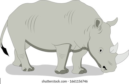 illustration of Rhino side view