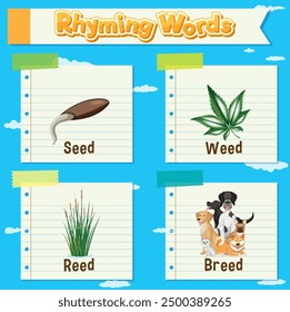 Illustration of rhyming words with images