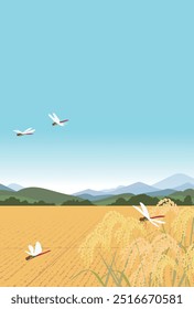 Ilustración del campo de arroz y libélula roja en otoño