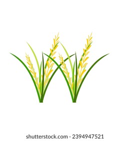 Illustration of Rice Plant Agriculture