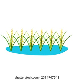 Illustration of Rice Plant Agriculture