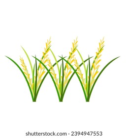 Illustration of Rice Plant Agriculture