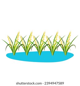 Illustration of Rice Plant Agriculture