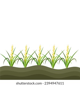 Illustration of Rice Plant Agriculture
