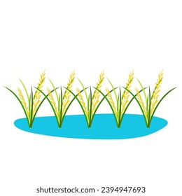 Illustration of Rice Plant Agriculture