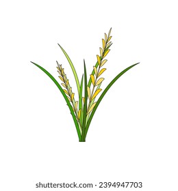 Illustration of Rice Plant Agriculture