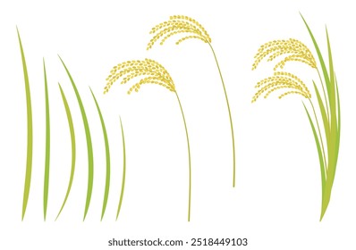 Ilustração de plantas de arroz, orelhas de arroz e folhas (divididas em partes)