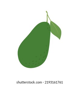 Illustration of a ripe avocado cut in two with pit. Vector drawing of fruit for design