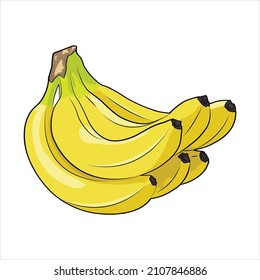 Illustration of ripe banana. Cluster of banana in isolated white background.