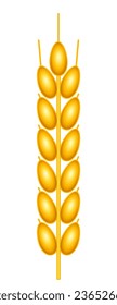 Illustration of a ripe ear of wheat