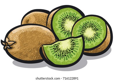 illustration of ripe fresh kiwi fruits