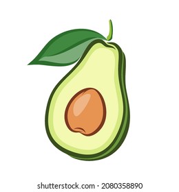 Illustration of Ripe Half Avocado with Seed and Green Leaf on White Background