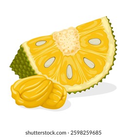 Illustration of ripe jackfruit slices, with peeled jackfruit, isolated on white background.