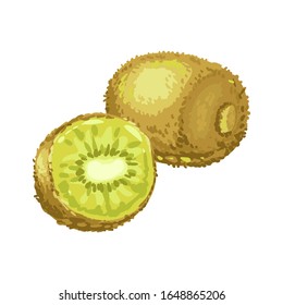 Illustration of ripe kiwi and slice. Summer fruit in decorative style.