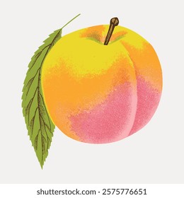 Illustration of a ripe peach with a green leaf. The peach is vibrant, with shades of yellow and pink. The leaf adds a natural touch to the peach illustration. Isolated vintage vector element.