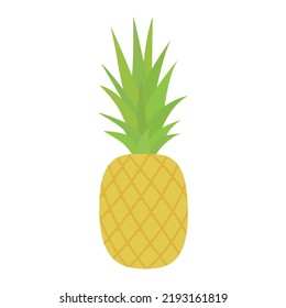 Illustration of a ripe pineapple, pineapple cut into slices. Vector drawing of fruit for design