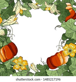 Illustration with ripe pumpkin, leaf, bud, stem and flower. Autumn vector circle frame of multicolored elements isolated on white. Saturated color for your holiday design. Template for greeting card.