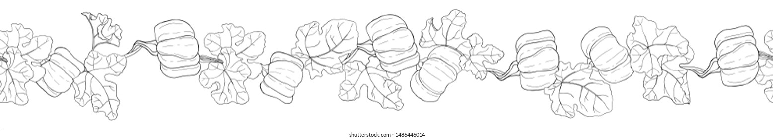 Illustration with ripe pumpkin and leaves. Autumn vector black and white seamless brush isolated on white background. Interesting silhouette for your zenart or coloring book.