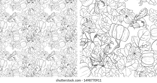 Illustration with ripe pumpkin, leaves, bud, stems and flowers. Autumn vector seamless pattern of black and white elements on white background. Interesting silhouette for your zenart or coloring book