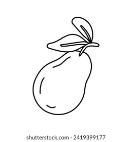 Illustration of a ripe and sweet pear, known as duchess, depicted in black and white with clear lines and isolated on a white background. It falls under the category of fruit illustrations.