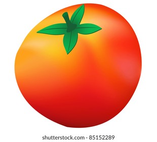 Illustration of a ripe tomato on a white background