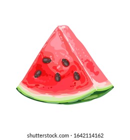 Illustration of ripe watermelon slice. Summer fruit in decorative style.