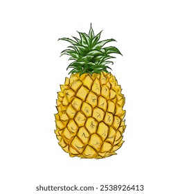 Illustration von reifen gelben Ananas mit grünen Blättern ohne Hintergrund